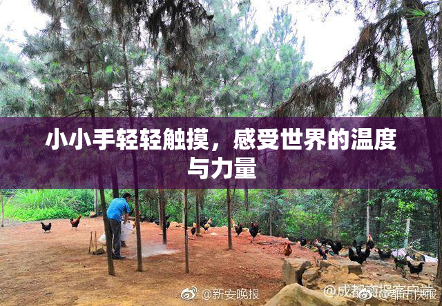 小小手轻轻触摸，感受世界的温度与力量