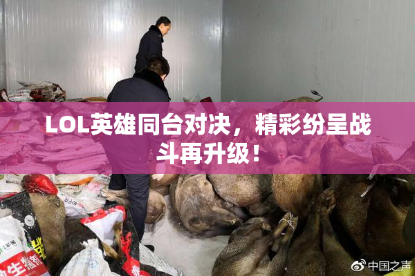 LOL英雄同台对决，精彩纷呈战斗再升级！