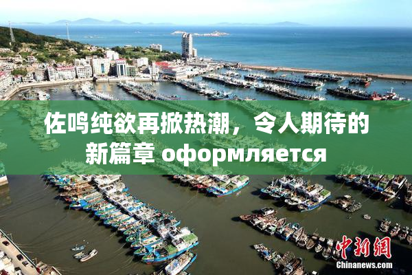 佐鸣纯欲再掀热潮，令人期待的新篇章 оформляется