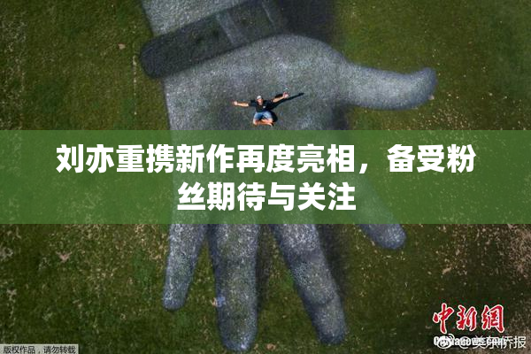 刘亦重携新作再度亮相，备受粉丝期待与关注