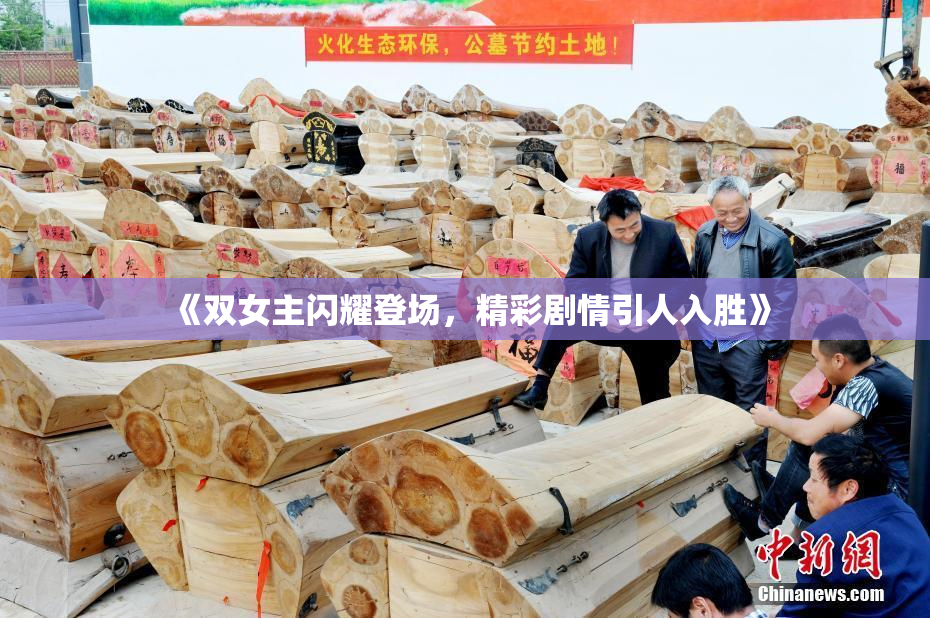 《双女主闪耀登场，精彩剧情引人入胜》