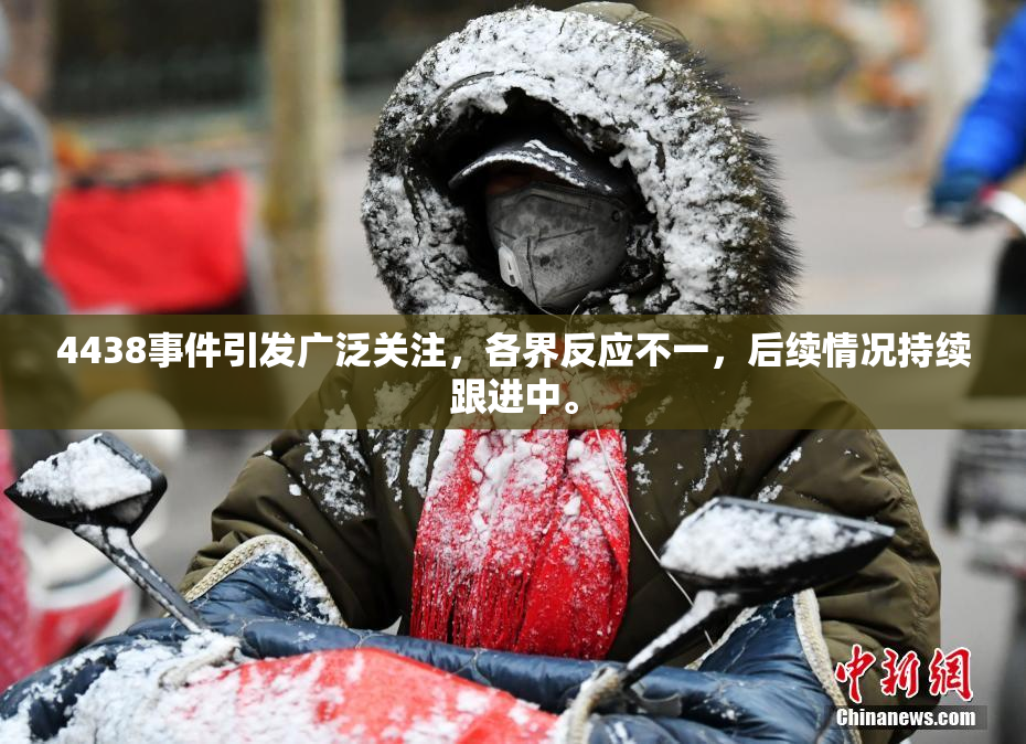 4438事件引发广泛关注，各界反应不一，后续情况持续跟进中。