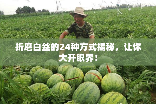 折磨白丝的24种方式揭秘，让你大开眼界！