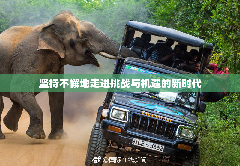 坚持不懈地走进挑战与机遇的新时代