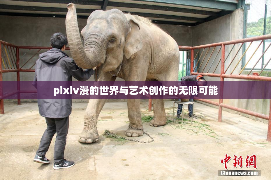 pixiv漫的世界与艺术创作的无限可能