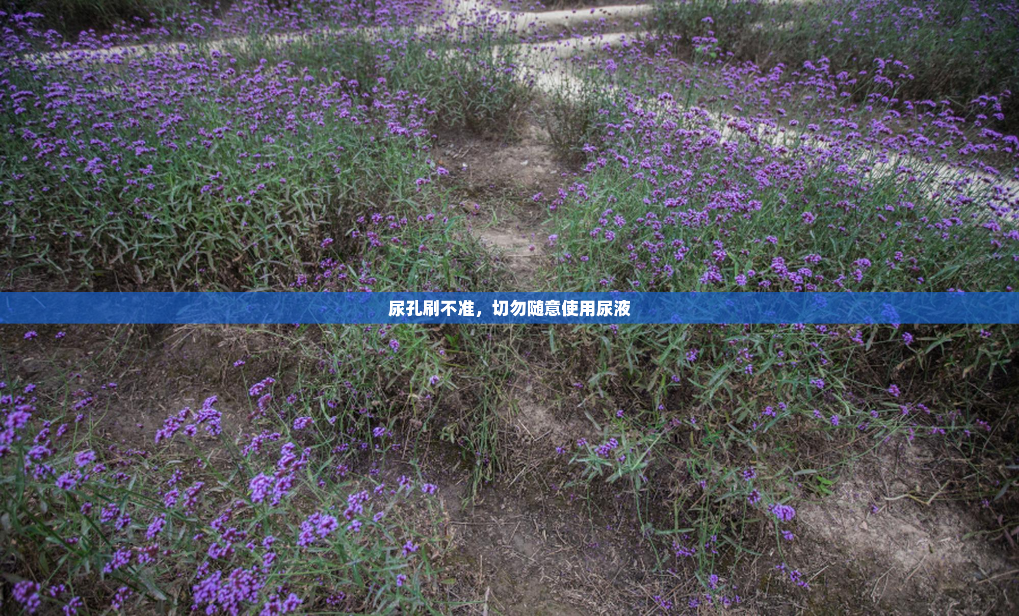 尿孔刷不准，切勿随意使用尿液
