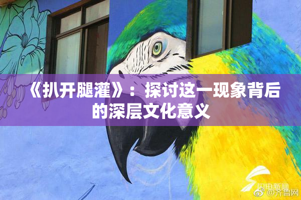 《扒开腿灌》：探讨这一现象背后的深层文化意义