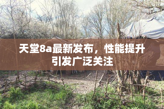 天堂8a最新发布，性能提升引发广泛关注