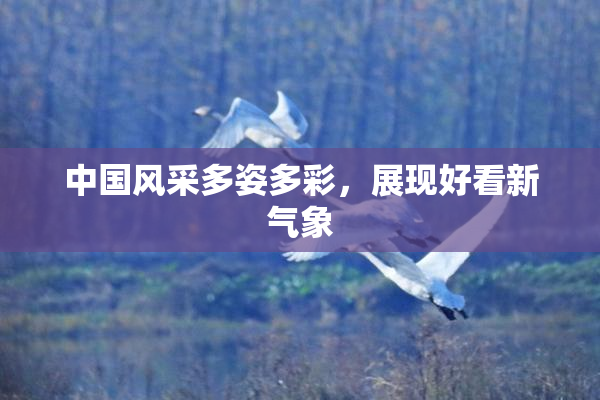 中国风采多姿多彩，展现好看新气象