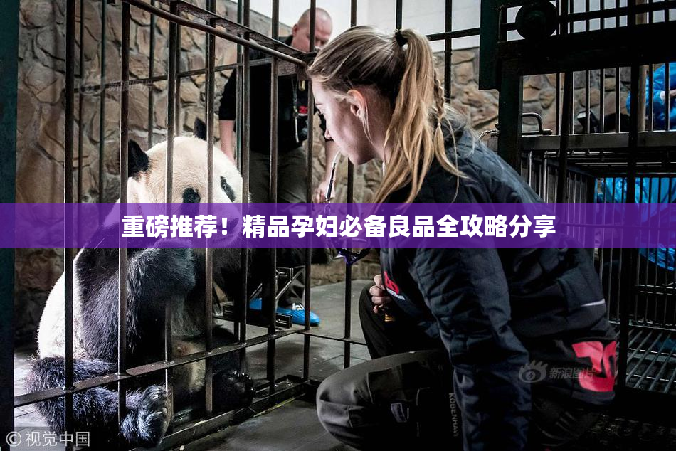 重磅推荐！精品孕妇必备良品全攻略分享