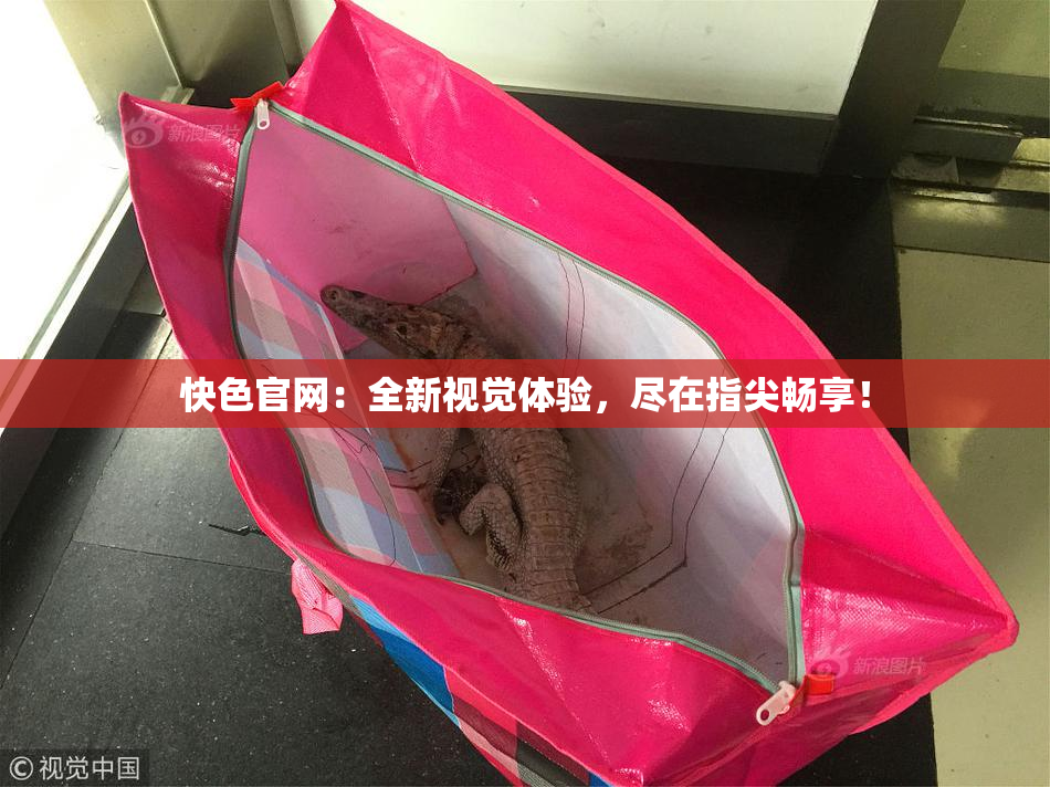 快色官网：全新视觉体验，尽在指尖畅享！