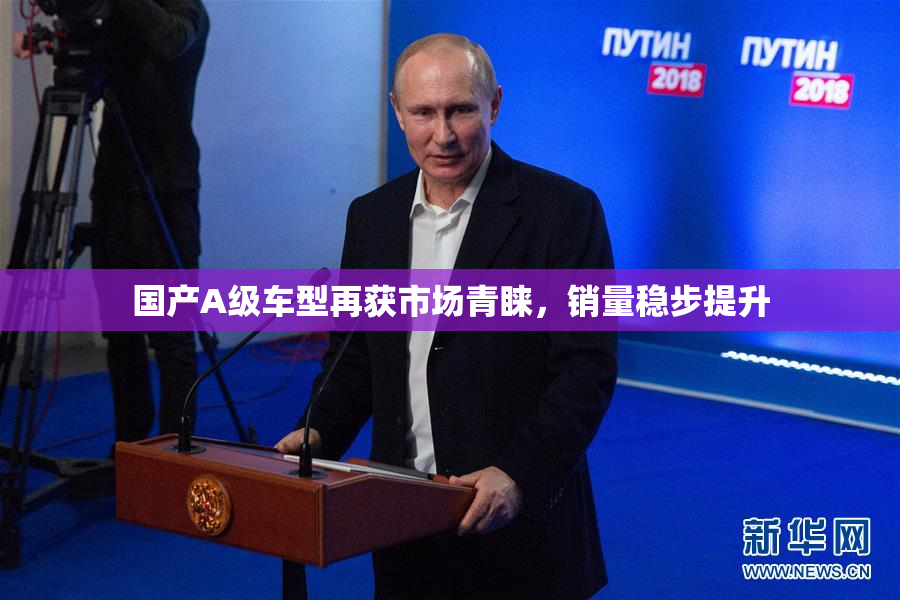 国产A级车型再获市场青睐，销量稳步提升
