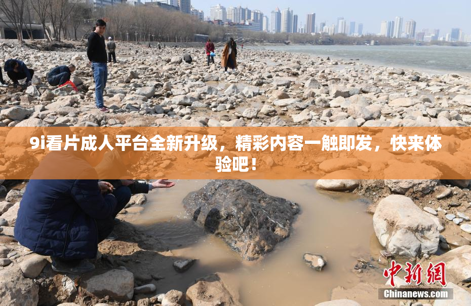 9i看片成人平台全新升级，精彩内容一触即发，快来体验吧！