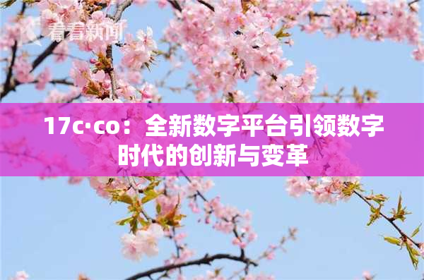 17c·co：全新数字平台引领数字时代的创新与变革
