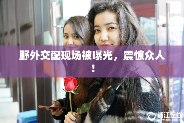 野外交配现场被曝光，震惊众人！