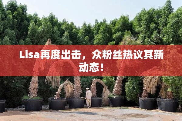 Lisa再度出击，众粉丝热议其新动态！