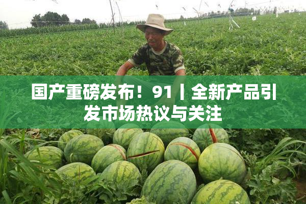 国产重磅发布！91丨全新产品引发市场热议与关注