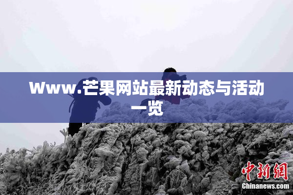 Www.芒果网站最新动态与活动一览