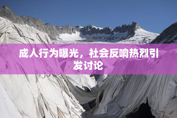 成人行为曝光，社会反响热烈引发讨论