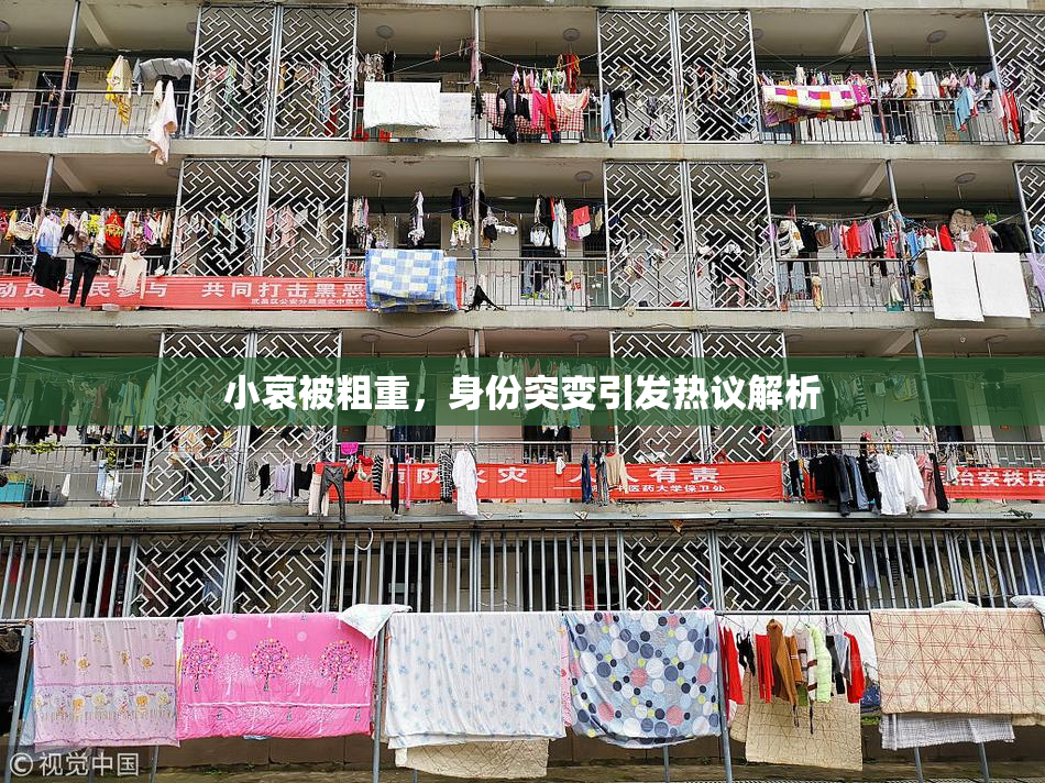 小哀被粗重，身份突变引发热议解析