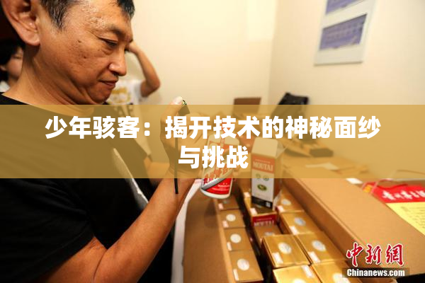 少年骇客：揭开技术的神秘面纱与挑战