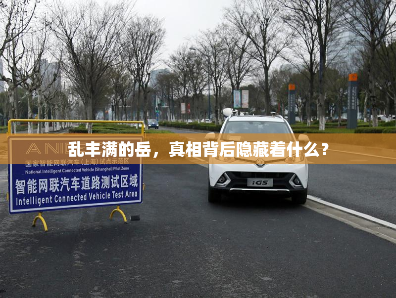 乱丰满的岳，真相背后隐藏着什么？