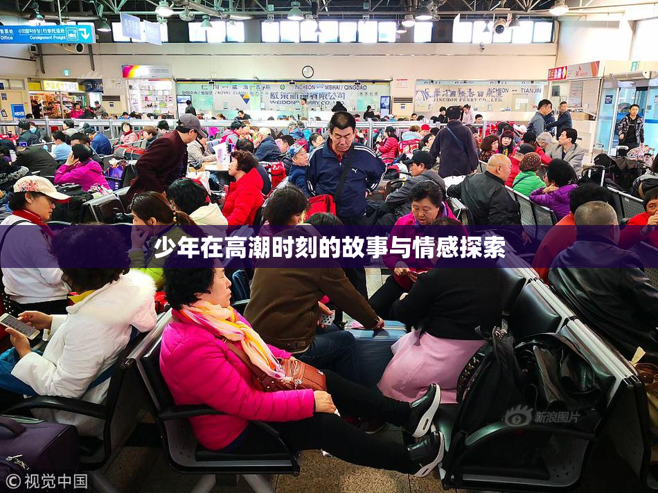 少年在高潮时刻的故事与情感探索