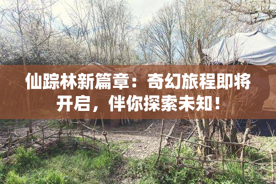 仙踪林新篇章：奇幻旅程即将开启，伴你探索未知！