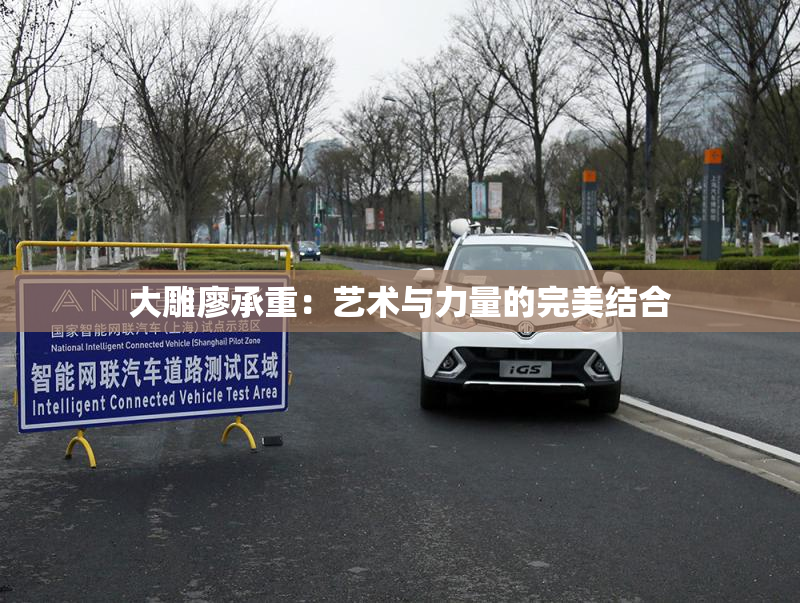 大雕廖承重：艺术与力量的完美结合