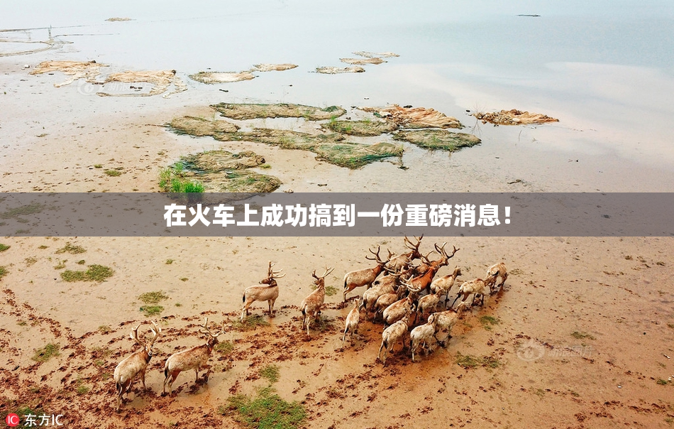 在火车上成功搞到一份重磅消息！