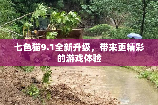 七色猫9.1全新升级，带来更精彩的游戏体验