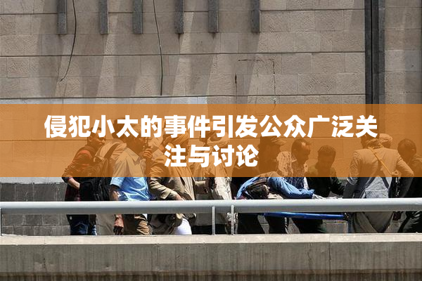 侵犯小太的事件引发公众广泛关注与讨论