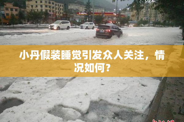 小丹假装睡觉引发众人关注，情况如何？
