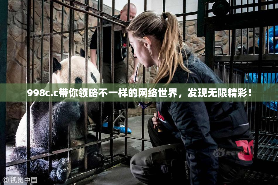 998c.c带你领略不一样的网络世界，发现无限精彩！