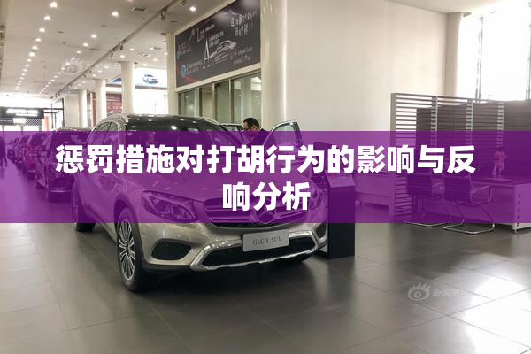 惩罚措施对打胡行为的影响与反响分析