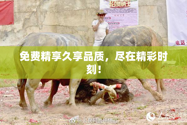 免费精享久享品质，尽在精彩时刻！