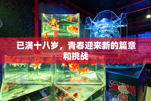 已满十八岁，青春迎来新的篇章和挑战
