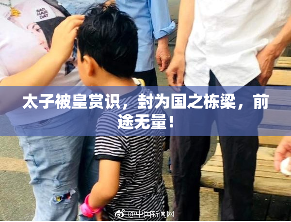 太子被皇赏识，封为国之栋梁，前途无量！