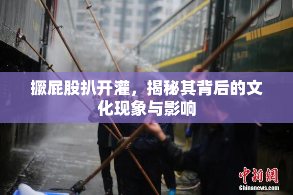 撅屁股扒开灌，揭秘其背后的文化现象与影响