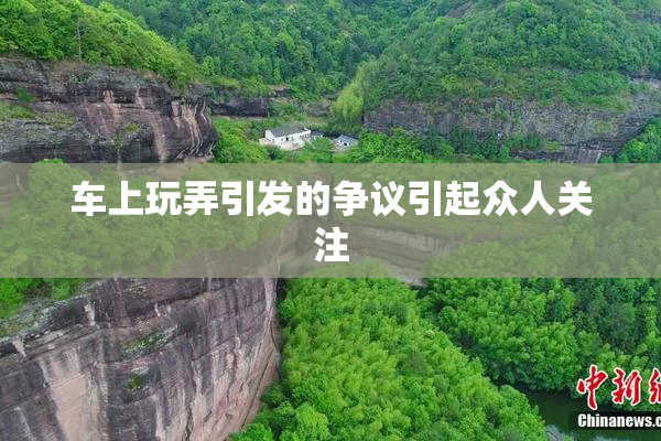 车上玩弄引发的争议引起众人关注