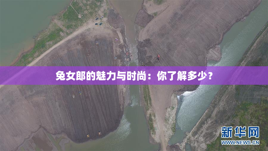 兔女郎的魅力与时尚：你了解多少？