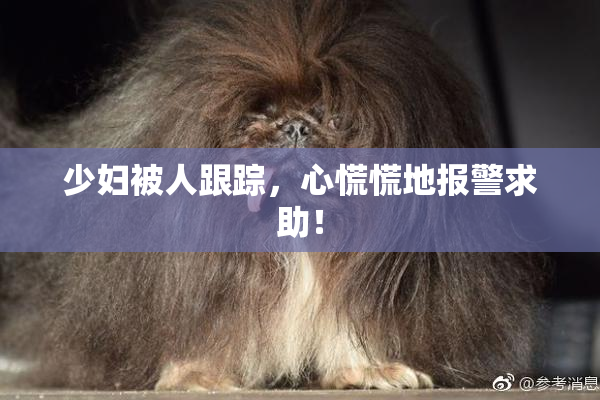 少妇被人跟踪，心慌慌地报警求助！