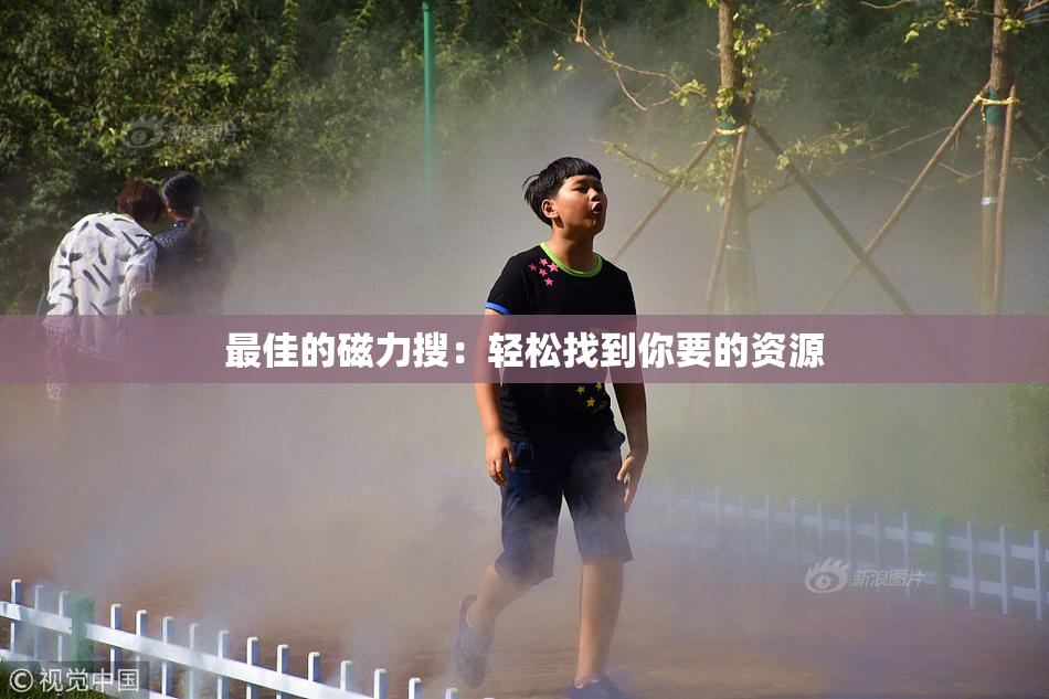 最佳的磁力搜：轻松找到你要的资源