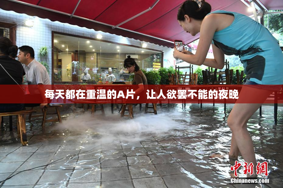 每天都在重温的A片，让人欲罢不能的夜晚