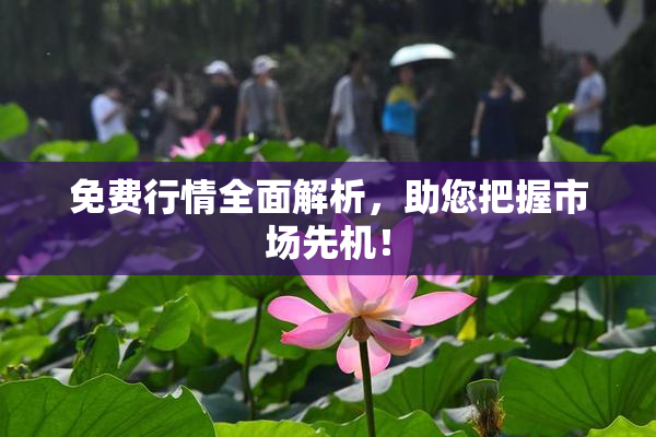 免费行情全面解析，助您把握市场先机！