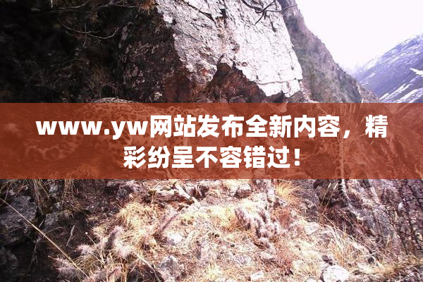 www.yw网站发布全新内容，精彩纷呈不容错过！