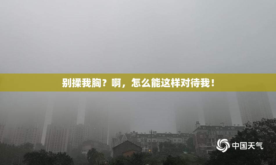 别揉我胸？啊，怎么能这样对待我！
