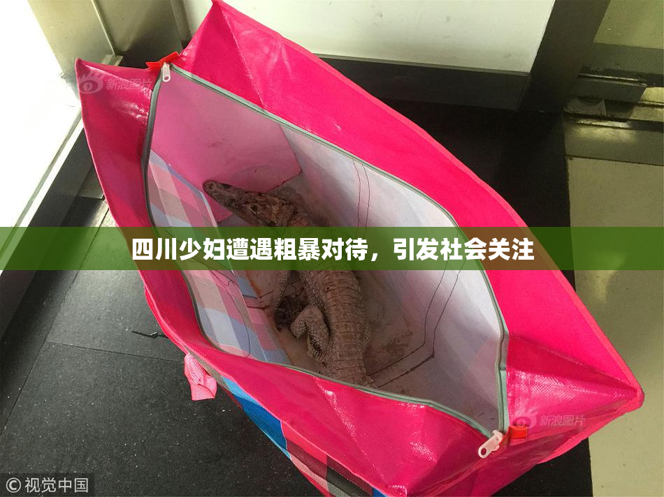 四川少妇遭遇粗暴对待，引发社会关注