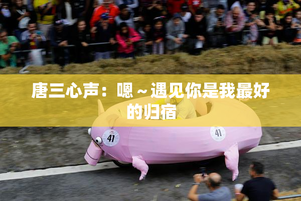 唐三心声：嗯～遇见你是我最好的归宿