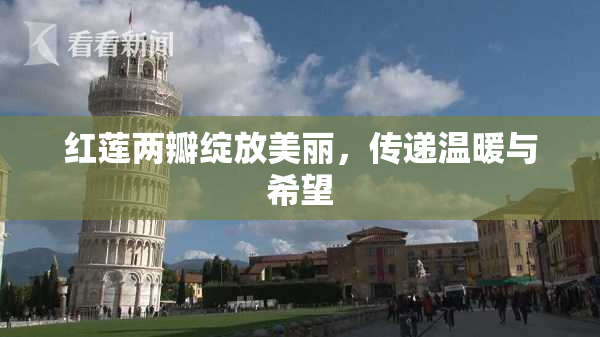 红莲两瓣绽放美丽，传递温暖与希望